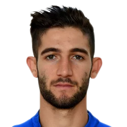 Roberto Gagliardini