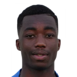 Yann Karamoh