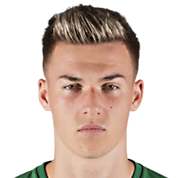 Ajdin Hrustic